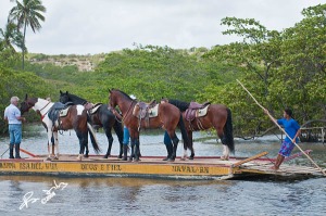 4 stallions in a boat